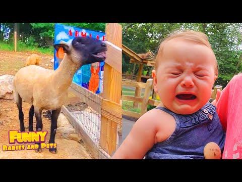 OH ANIMALS! Funny Baby Screaming In the Zoo - Funny Baby and Pets Videos