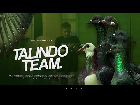 SPILL MERPATI ANDALAN TIM TALINDO PEKALONGAN