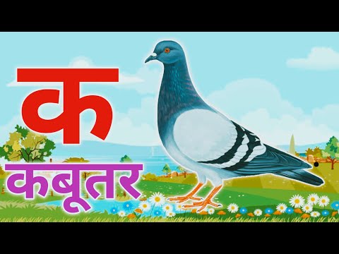 अ से अनार, आ से आम, हिंदी वर्णमाला, ka se kabutar, a seanar, aa se aam, हिंदीस्वरब्यंजन #kidssong