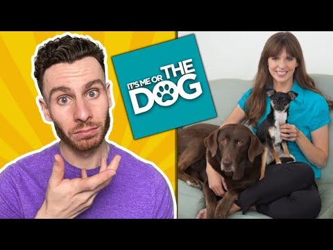 What's ACTUALLY Happening On "It's Me or the Dog" | dog trainer reacts