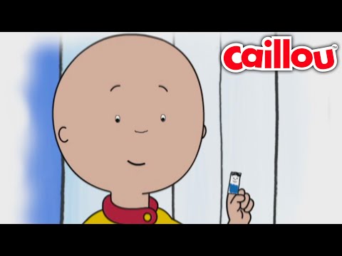 Caillou's poppenspel | Caillou Nederlands - WildBrain | Leren voor kinderen