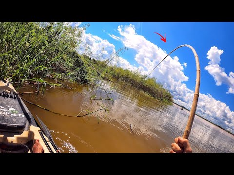 TIVE QUE DOBRAR LINHA 0,90 PARA SEGURAR OS MONTROS NO VARÃO DE BAMBU!!! PESCARIA CAIPIRA EXTREMA!!!