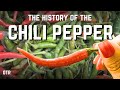 The Journey of the Chili Pepper
