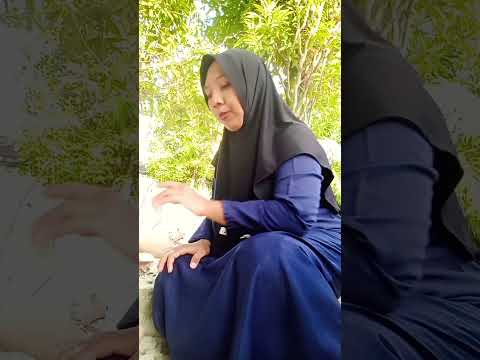 takut kodok #funny #comedyvideo #shorts
