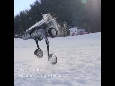 A robot Lynx that challenges the laws of physics! | PRO Robots