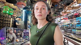 ME INFILTRÉ EN EL MERCADO DE ANIMALES EXÓTICOS MÁS GRANDE DE ASIA