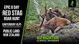 Roaring Red Stags! We stake out a public land monster on zero food supplies... (day 7 success)