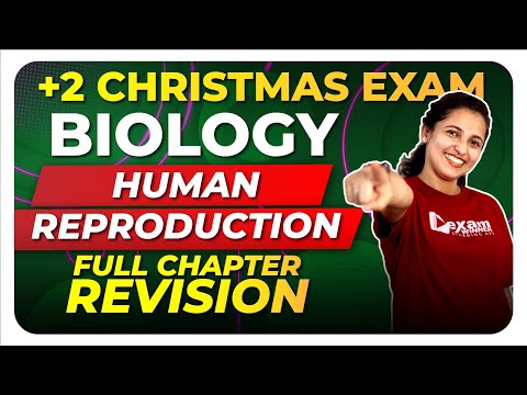 Plus Two Christmas Exam Biology | Human Reproduction | Full Chapter | Exam Winner