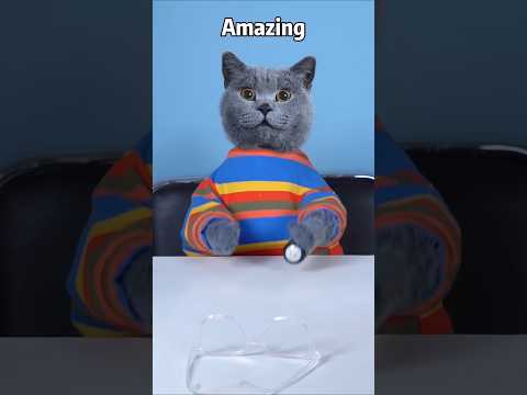 When Kitty blew away the glasses with magic #youtubeshorts #viralshort