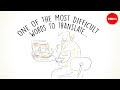 Understanding the Complexity of Translating 'You'