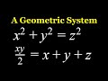 Integer Solutions in Right Triangles