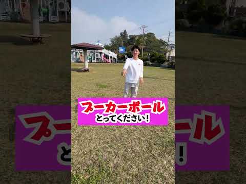 これって沖縄だけ？「プーカーボール」 #shorts