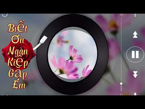 Biết Ơn Ngàn Kiếp Gặp Em # Nhạc Hay Mỗi Ngày #