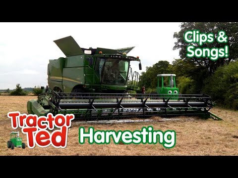 The GIGANTIC Combine Harvester & Other Harvesting Machines ๐๐พ Tractor Ted Clips & Songs