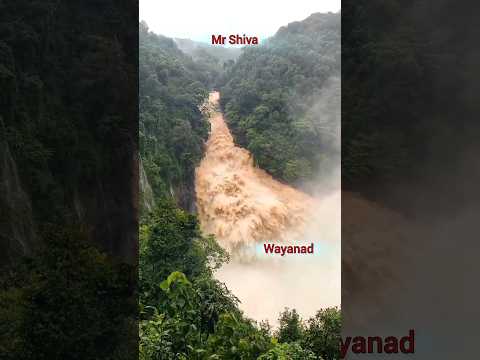 Wayanad மூன்று கிராமத்தை கொன்னுப்புட்டு எவ்வளவு அமைதியா போகுது #mrshiva #shortsviral