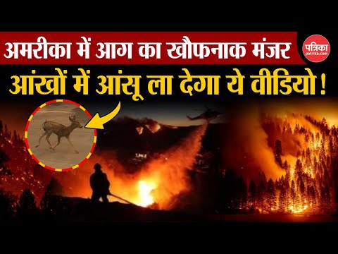 Los Angeles Wildfires: अमरीका में आग का खौफनाक मंजर | California Fire | America