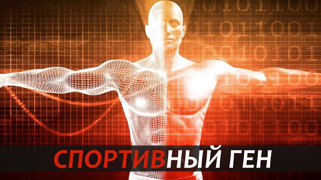 ЗАЛОЖЕНО ЛИ В ГЕНАХ ЗАНИМАТЬСЯ СПОРТОМ? 3 МАСШТАБНЫХ ИССЛЕДОВАНИЯ