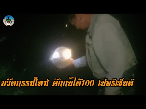 @ใสบั้งลันและของให่มในการจับกบได้ผลดีมาก