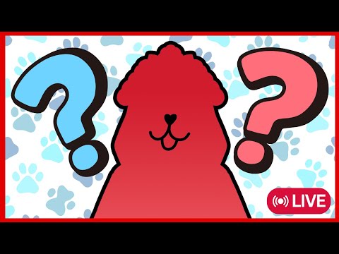 【New Accessory Reveal】BOW WOW!... #JusticeGirlsNight