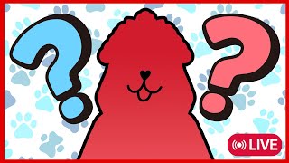 【New Accessory Reveal】BOW WOW!... #JusticeGirlsNight