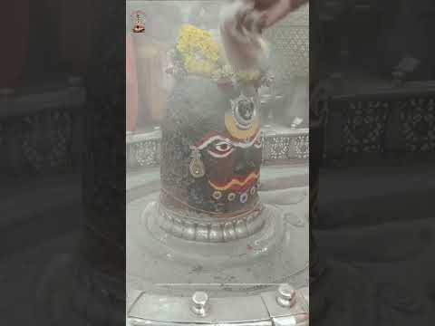 महाकाल आरती उज्जैन ॥ Mahakal Aarti Ujjain#shorts#youtubeshorts#shortvideo#ytshorts#mahadev#ujjain