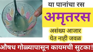 या पानांचा रस म्हणजे "अमृतरस"!औषध गोळ्यांपासून कायमची सुटका! #jivanvikas