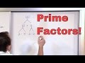 Exploring Prime Factorization Techniques