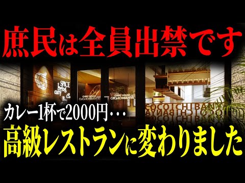 【悲報】ココイチがまさかの発表をしました…値段改悪をやめなかった悲惨な末路【ゆっくり解説】