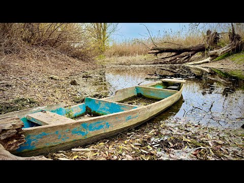 Сазан ТЯГНЕ В КОРЯГУ! Дикі КОРЯЖНИКИ СУЛИ!