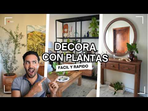 Decora tu CASA CON PLANTAS 🙌🏻🏠 FÁCIL Y SIN GASTAR DINERO