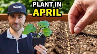 Plant This in April NOW, or You’ll Regret It!