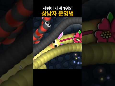 세계 1위 성공시 10만원? 남자답게 갑니다 slither.io