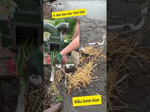 Bơm bùn bơm phân lợn bơm chất thải công nghiệp bơm nước #bgmi #automobile #farming #agriculture