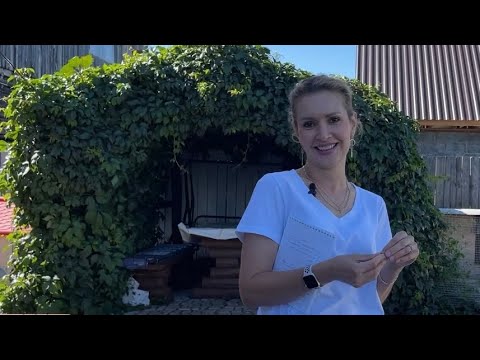 263 Раскрываю секреты! Что в Казахстане лучше? , Тюменская обл