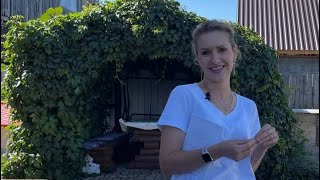 видео