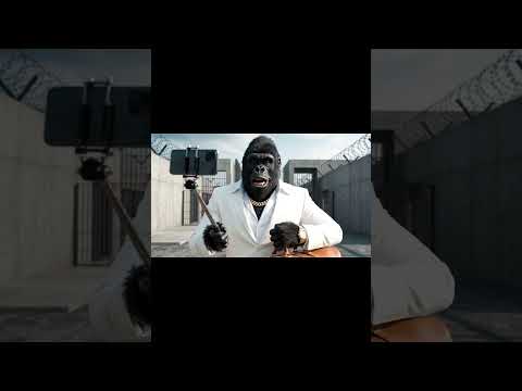 #gorille #humour #ia #shorts #gangster