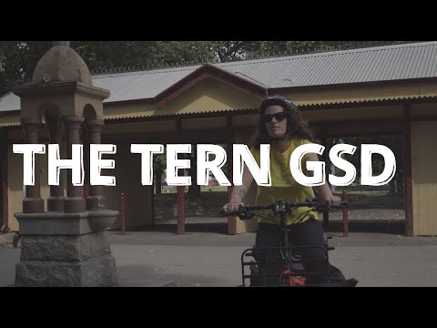A Day With The TERN GSD