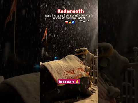 केदारनाथ मंदिर के कपाट बंद होने के बाद पहली बर्फबारी में अपने महादेव का इंतजार करते हमारे नंदीमहाराज