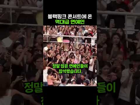 블랙핑크 콘서트온 연예인