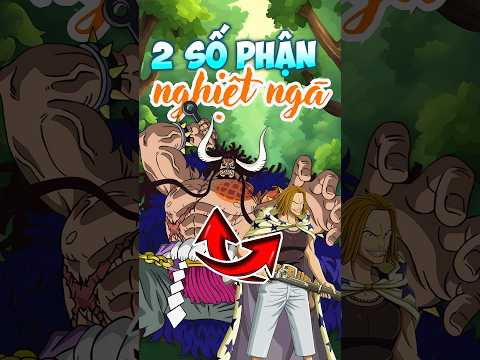 Yasopp & Kaido, 1 Thân Phận nhưng 2 số phận #shorts #anime #onepiece