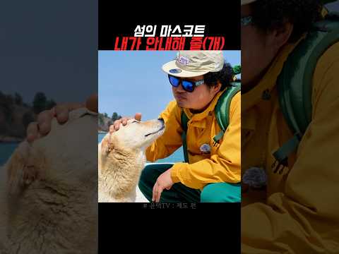 섬에서 만난 귀여운 길잡이