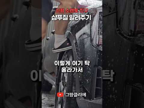 신형 소렌토 친구에게 카샴푸질 알려주기 #카샴푸 #셀프세차 #바디프레쉬