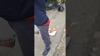 Mereka juga ikut lebaran #kucing #lebaran #iedmubarak
