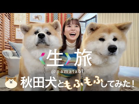 秋田犬にきりたんぽ鍋にラジオ体操！？冬の秋田に行ってきた！