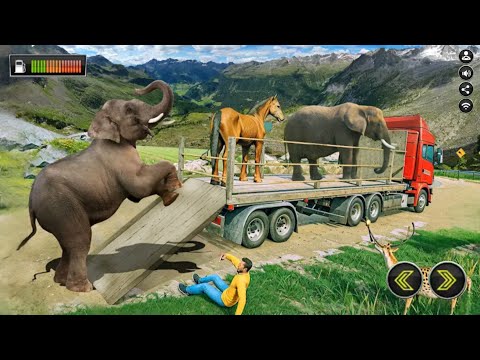 Cargo Animal Games Simulator: Animal Cargo Games 3D  // iOS Android Gameplay
