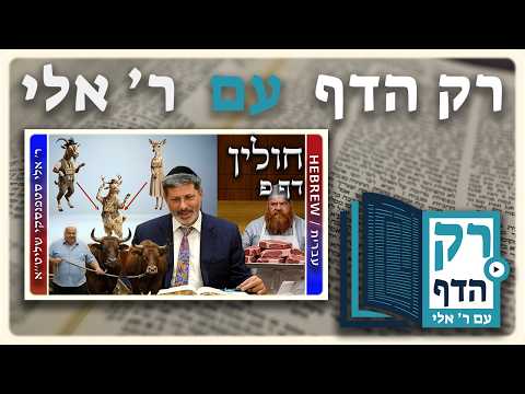 חזרה - חולין דף פ | "רק הדף" עם ר' אלי סטפנסקי