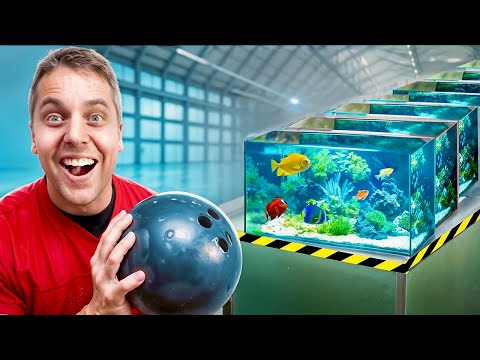 How many FISH TANKS Stop A BOWLING BALL?!