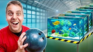 How many FISH TANKS Stop A BOWLING BALL?!