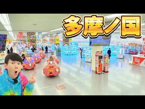 クレーンゲーム簡単にとれる台を探してみた結果…大量GET！エブリデイ多摩ノ国‼　たまのくに・多摩の国#clawmachine