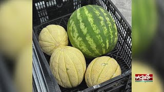 YouTube video thumbnail: 4 SD Districts Awarded Farm-to-School Grants
